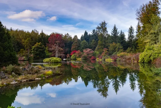 david-toussaint-automne-2021-deversoir-1